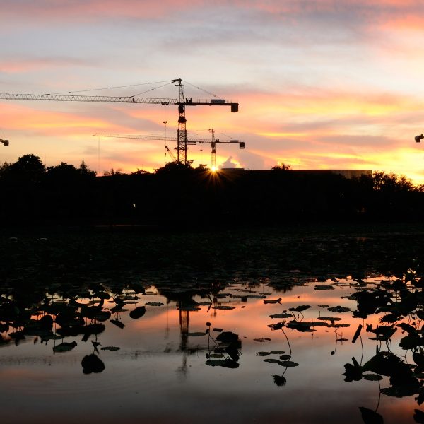 Habitat restoration and preservation